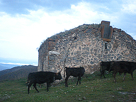 DSCN0063