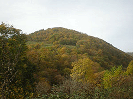 DSCN0074.JPG