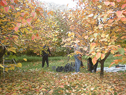 DSCN0095.JPG