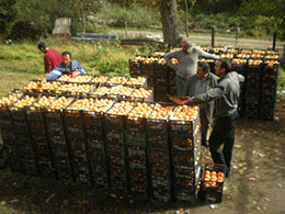 DSCN0100.JPG