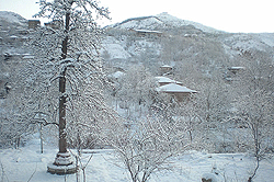 goris