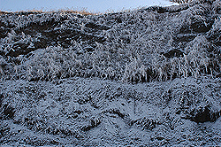 snow